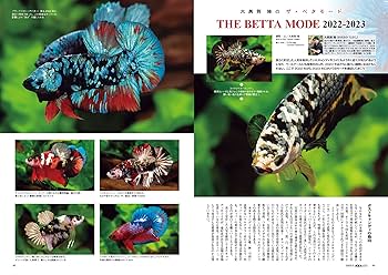 月刊アクアライフ 2023年 02 月号 小型水槽と新しい景色 [雑誌