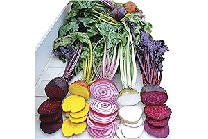 Park Seed's Multi-Hued Harvest: Vibrant Beetroot Seeds for the Spring Garden