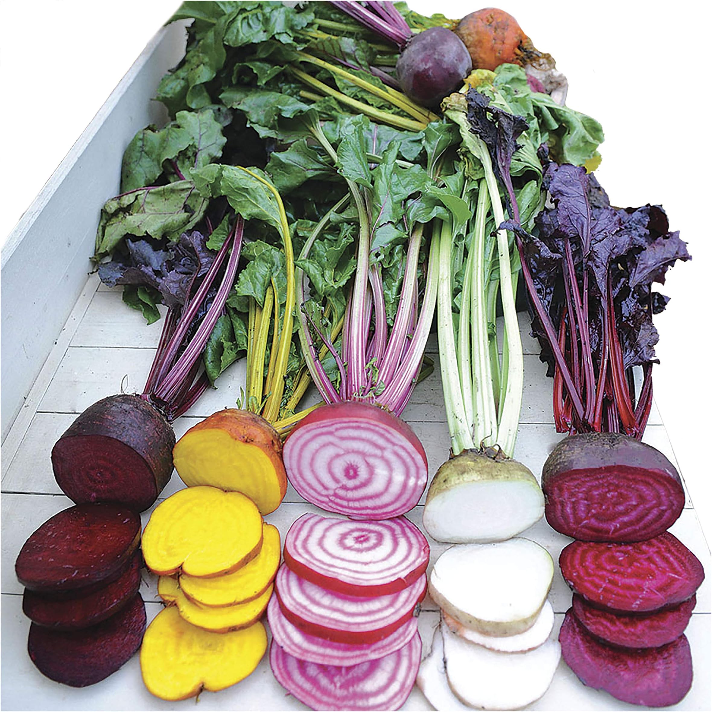 Beet Vegatable Plant Seeds, Easy to Grow, Variety of Colors, Spring Garden, Rainbox Mix, Pack of 200