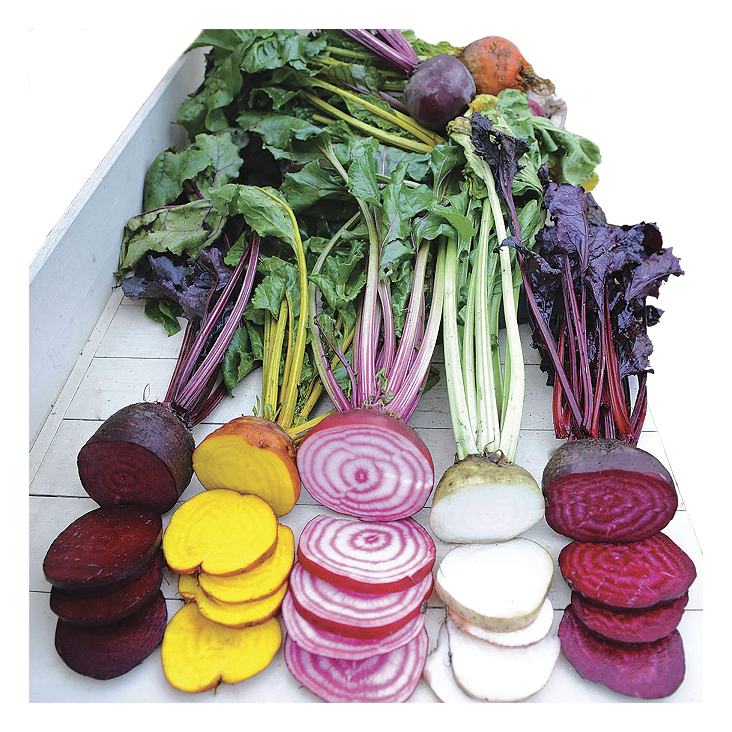 Beet Vegatable Plant Seeds, Easy to Grow, Variety of Colors, Spring Garden, Rainbox Mix, Pack of 200