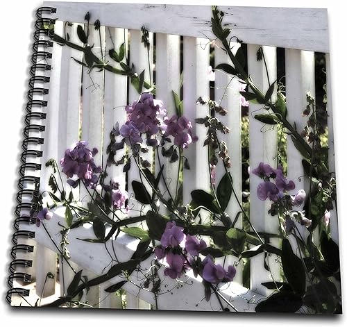 Et fotografía – Naturaleza Escenas – Guisante de Olor Flores y un Valla – Libro de dibujo blanco