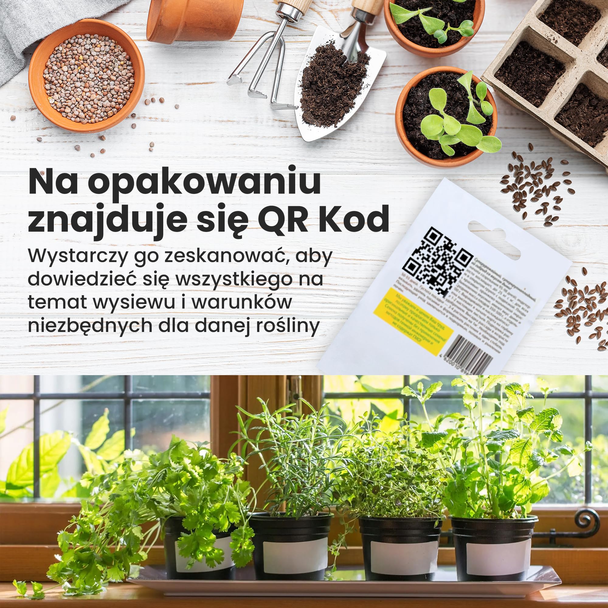 TORAF Zestaw nasion warzyw – 12 gatunków nasion do ogrodu, na balkon i do podwyższonej grządki – pomidory, ogórki, cukinia, sałata, brokuły, marchew, jarmuż, szczypiorek – zestaw do uprawy warzyw