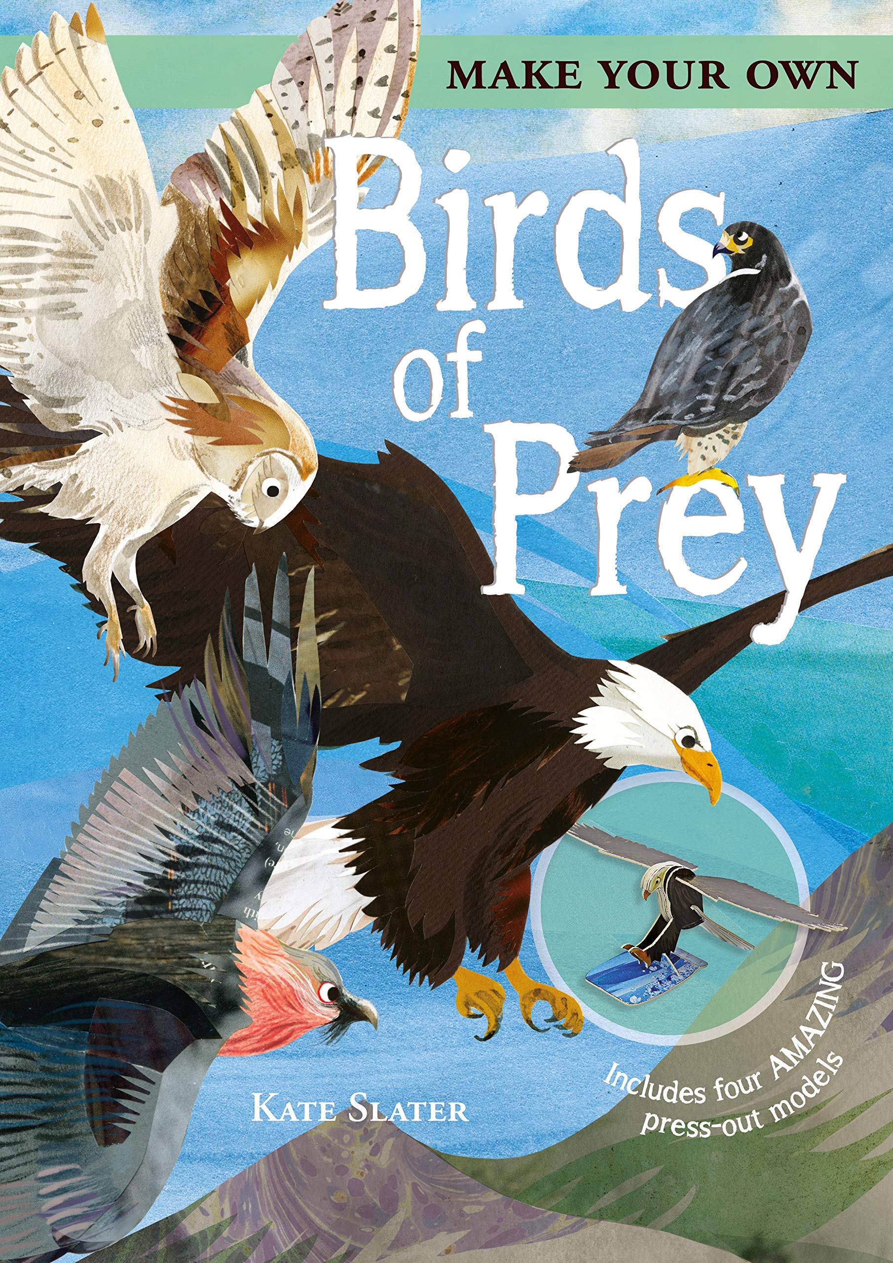 Make Your Own Birds of Prey: Includes Four Amazing Press-out Models (Make Your Own, 1)