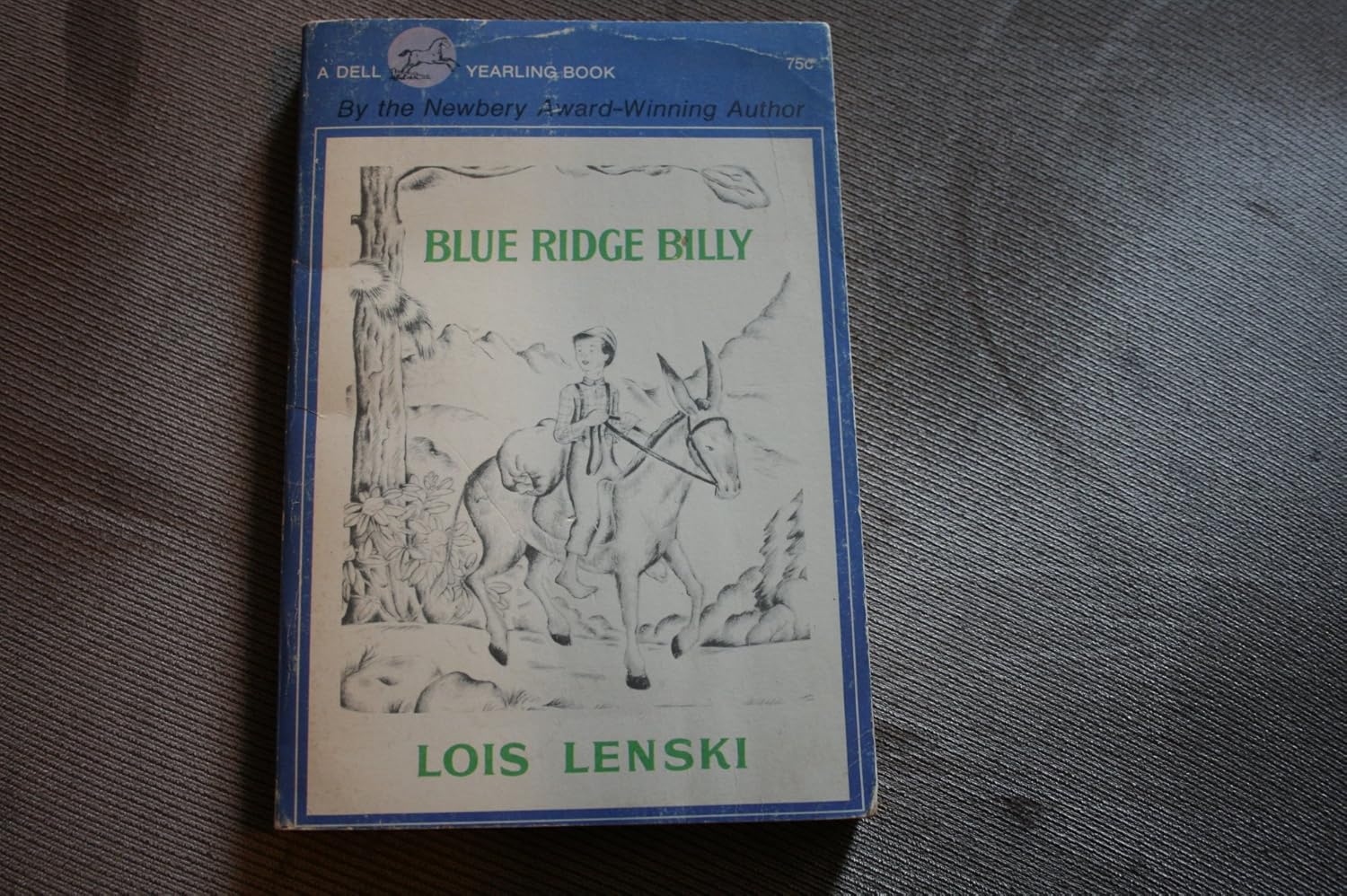 Blue ridge Billy: Lenski, Lois: Amazon.com: Books