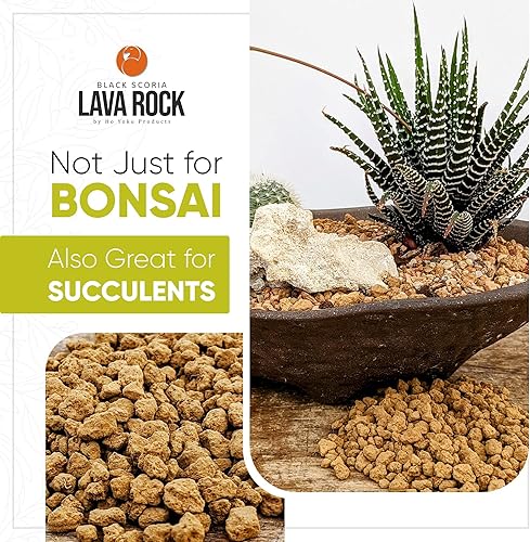 Miniatura 4 de Ho Yoku Akadama - Agregados de suelo para bonsái que proporciona drenaje y aireación para un crecimiento saludable de las raíces, 2.25 cuartos
