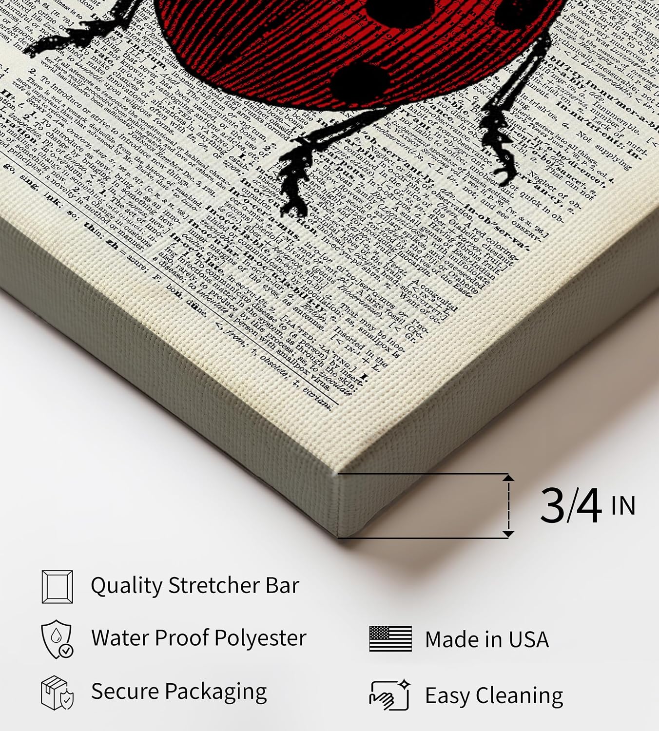 Poster Master Dictionary Canvas - Retro Ladybug Print - Insect Wall Art - Gift for Men, Women & Animal Lover - Red Bug Art - Minimal Decor for Living Room & Kid's Room - 8x10 STRETCHED Canvas