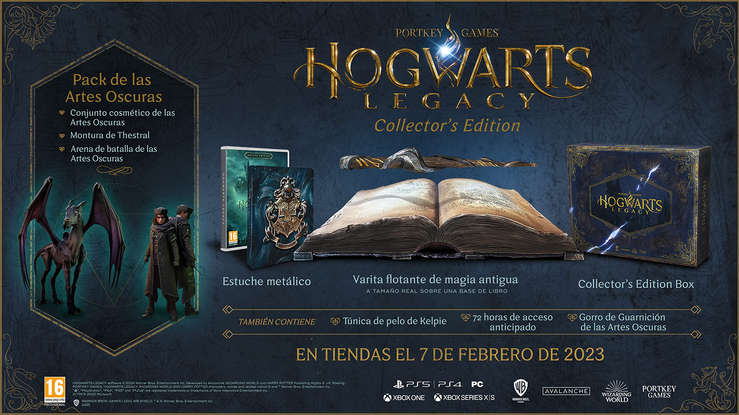 Hogwarts Legacy Collector PS5
