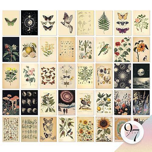 97 Decor Vintage Botanical Wall Collage Kit - 40 Unframed