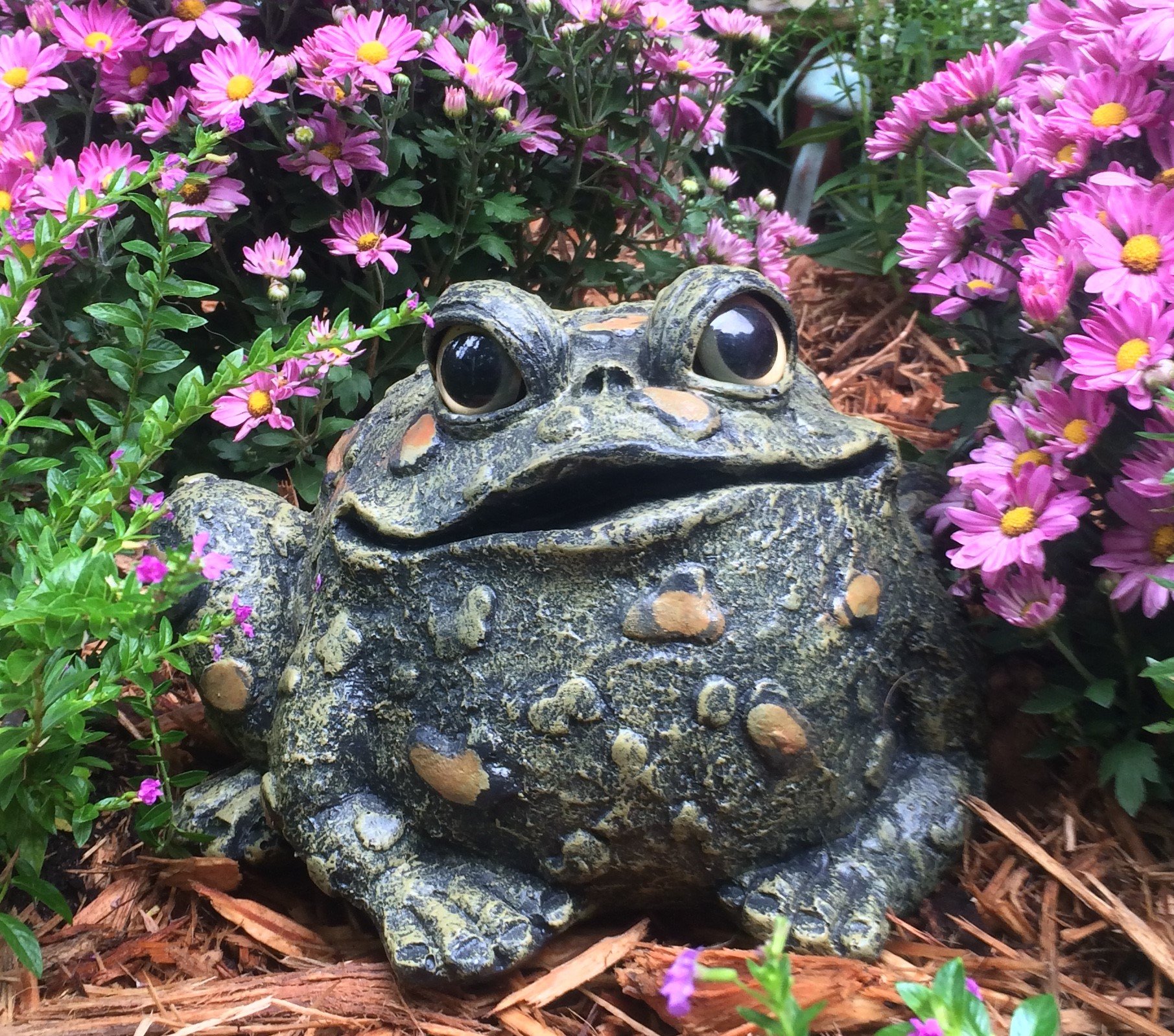 HomeStylesToad Hollow Large Toad Natural Green