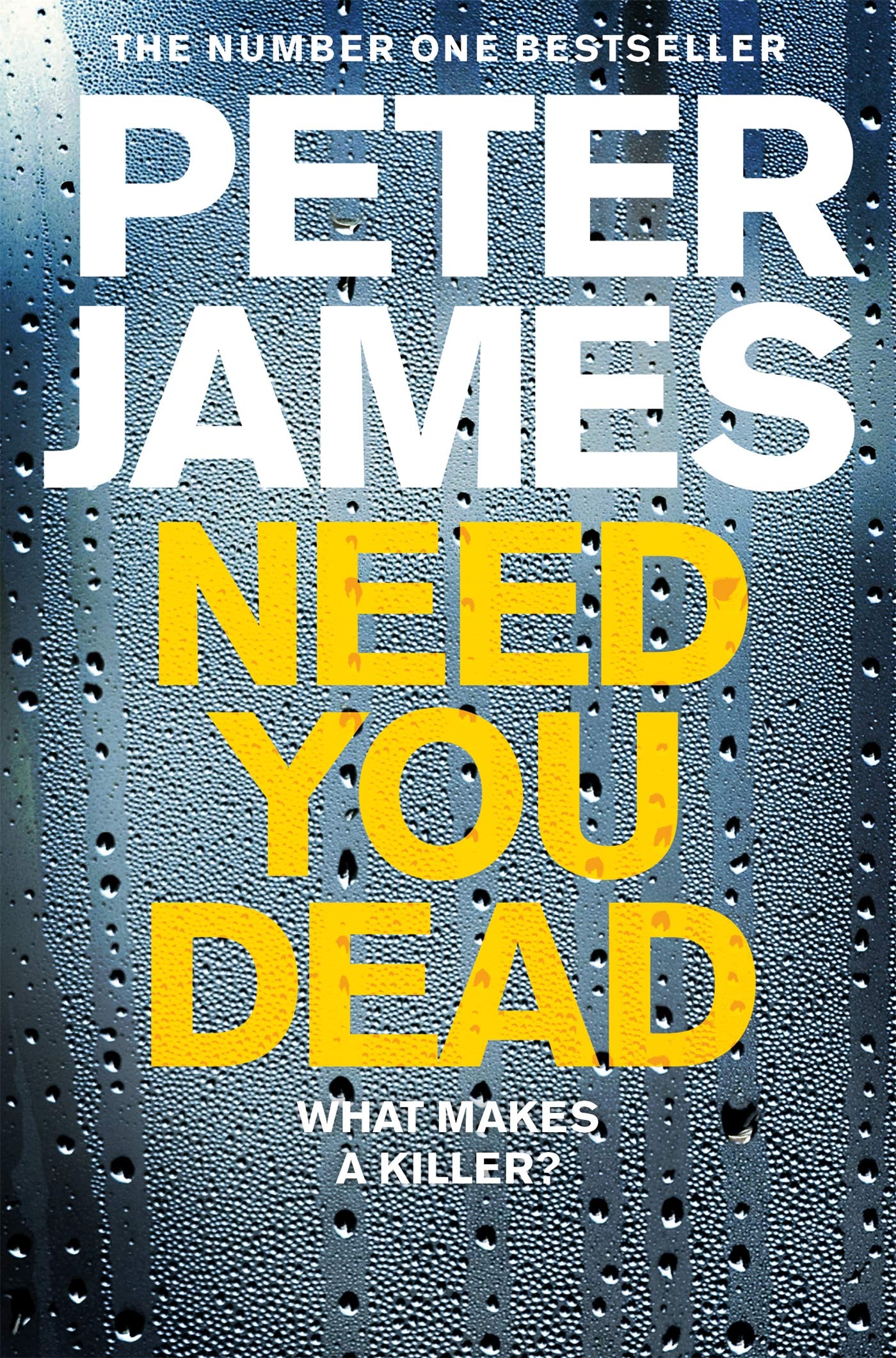 Need You Dead: A Creepy British Crime Thriller (Roy Grace Book 13)