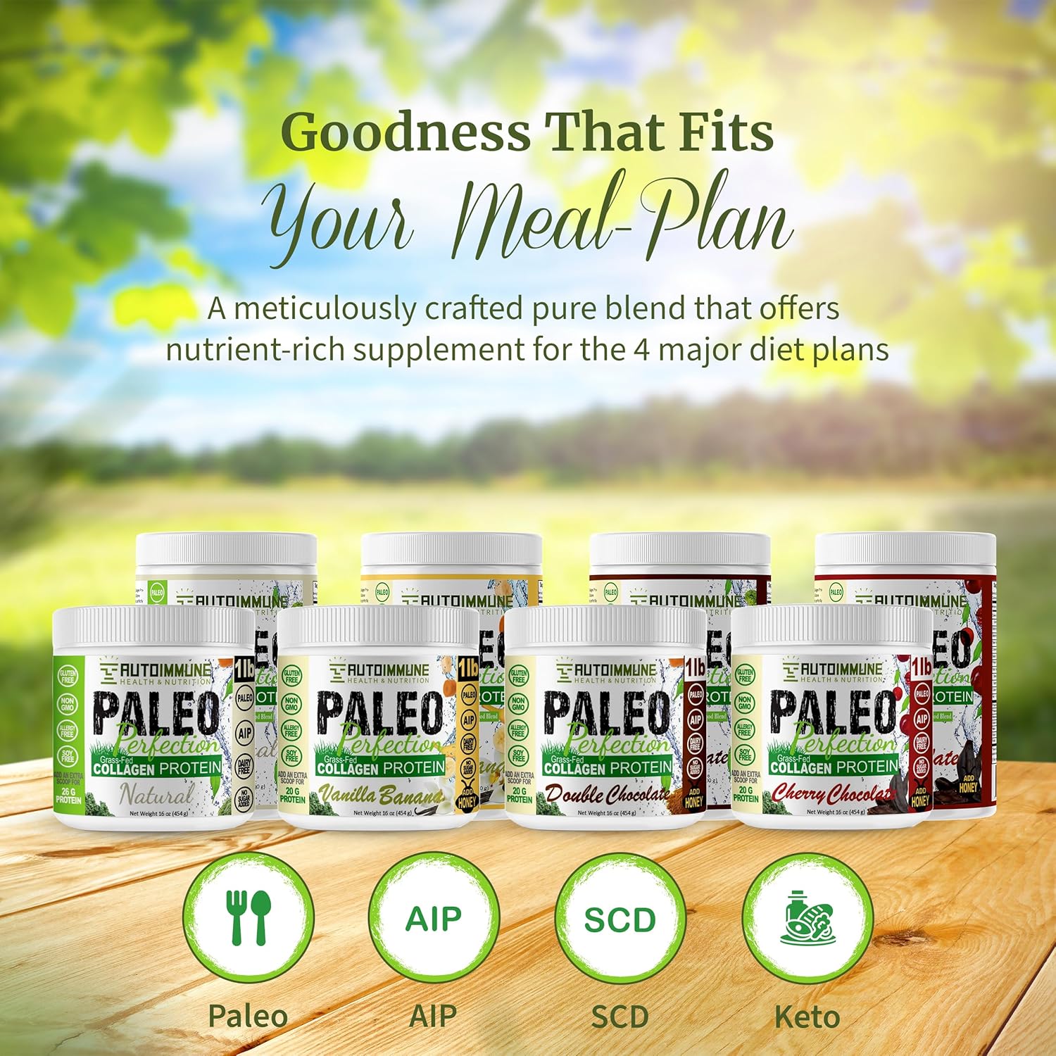 Paleo Perfection Double Chocolate Grass Fed Beef Collagen Protein Powder without Stevia - Paleo, Keto, SCD, AIP Protein Powder w/ Apple Fiber, Carrot, Broccoli - 1lb Protein Powder & Superfood Blend