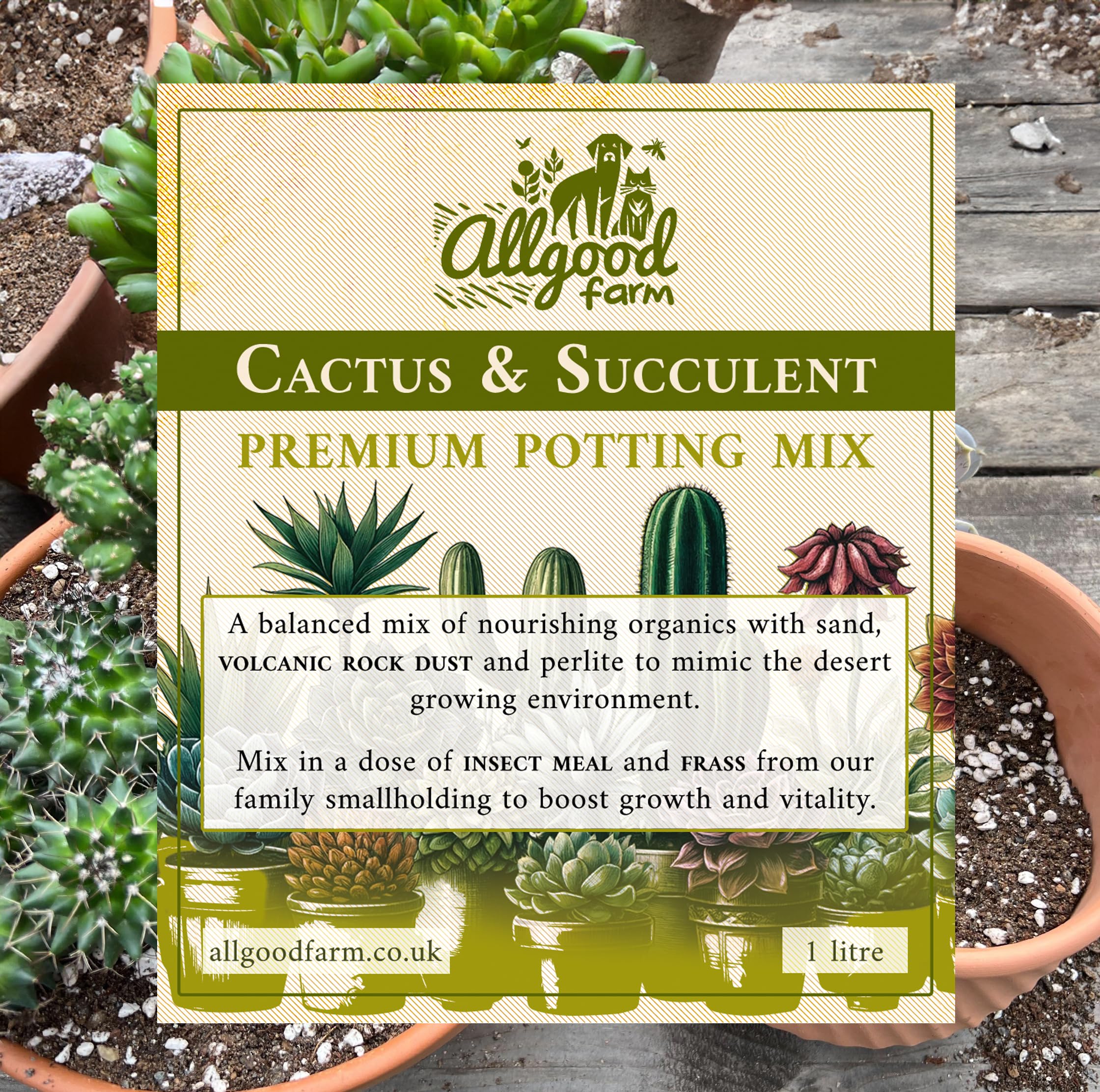 Allgood Farm Cactus Soil - Expert Cactus & Succulent Potting Soil Mix for Cacti Haworthia, Euphorbia, Echeveria, Agave (1 Litre)