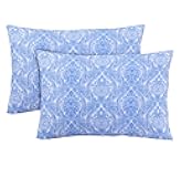 FEATHER & STITCH NEW YORK 100% Cotton 2 Piece Queen Pillow Cases, 300TC Ultra-Soft Pillowcases with Envelope Closure, Wrinkle- Fade- Stain Resistant - 20x30 inches (Standard/Queen, Blue Paisley)