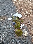 Review Image by Elaine Kothgassner