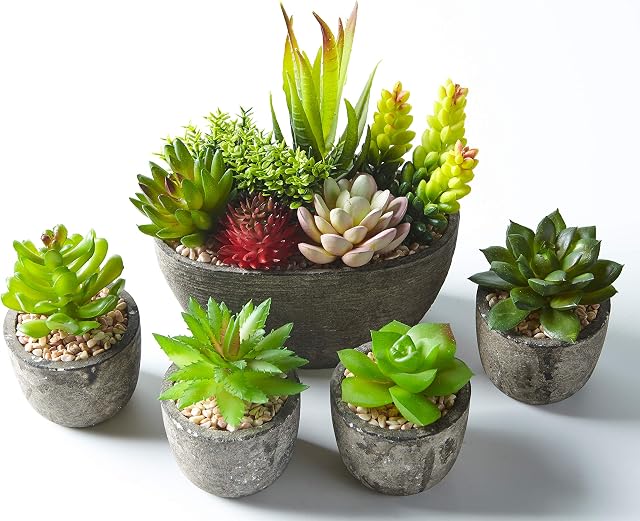 Jobary Set of 5 Artificial Succulent Potteds (Includes 10 Plants), Colourful and Decorative Faux Succulent Plants with Stones, Ideal for Home, Office and Outdoor Decor 