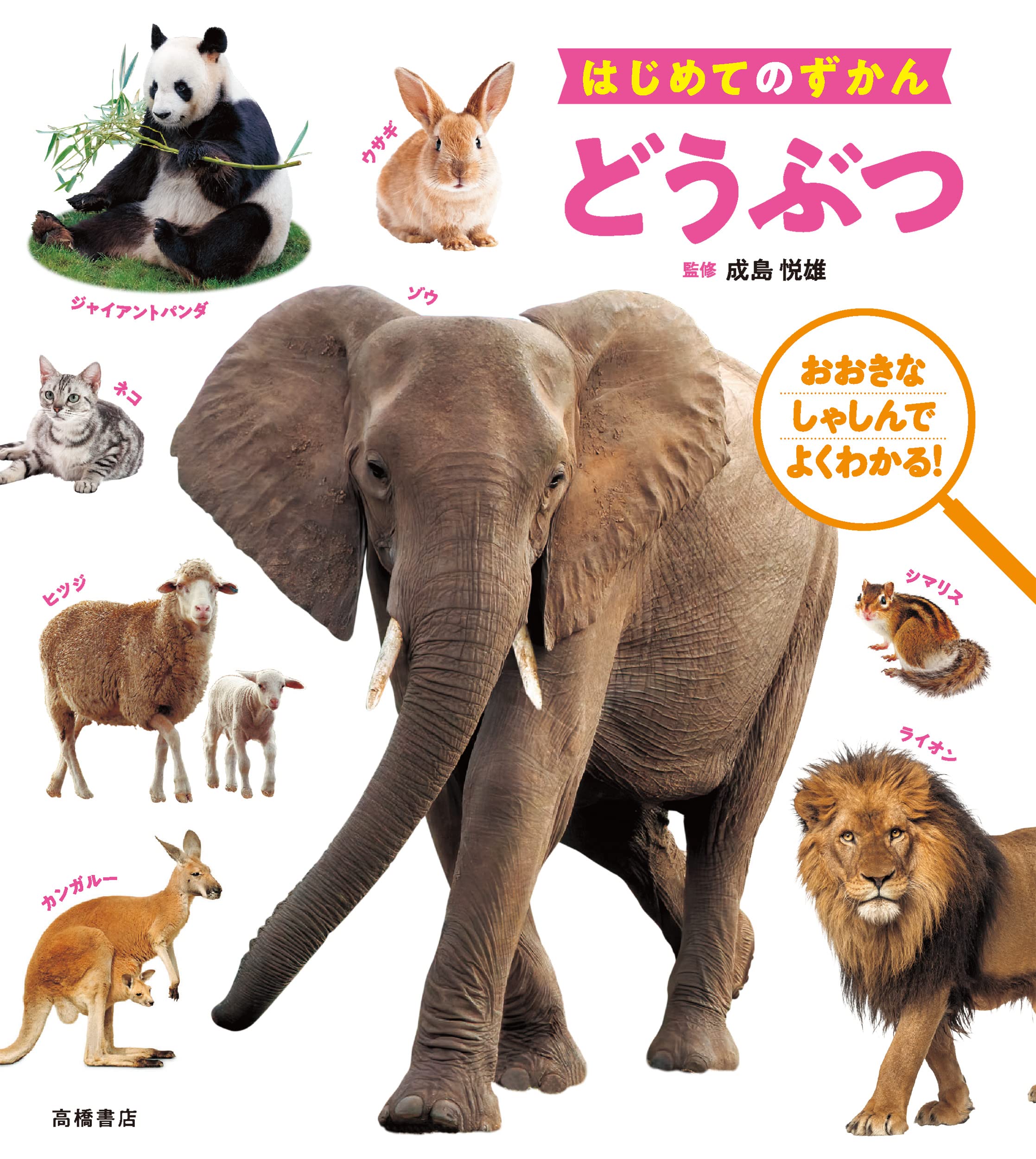 はじめてのずかん どうぶつ | 成島 悦雄 |本 | 通販 | Amazon