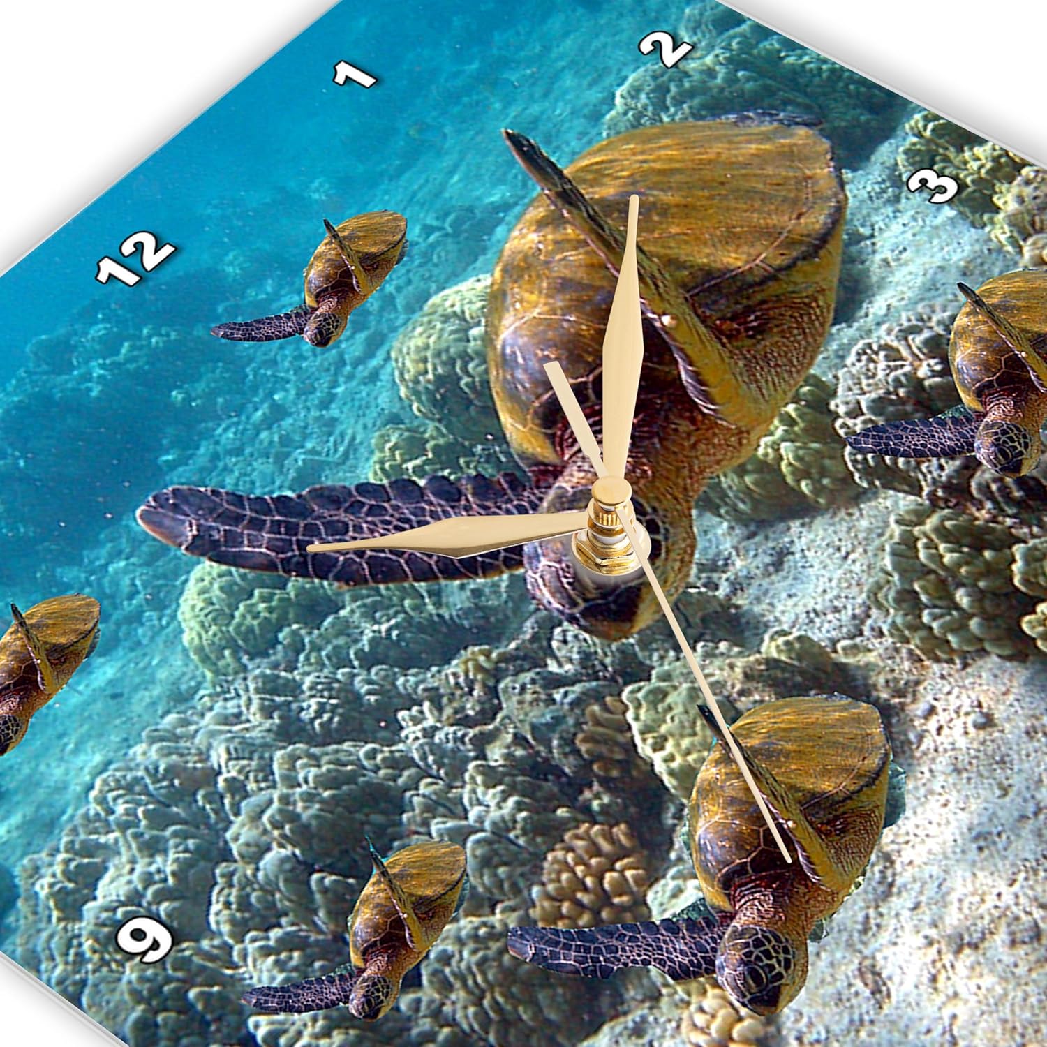 3dRose 15 Wall Clock