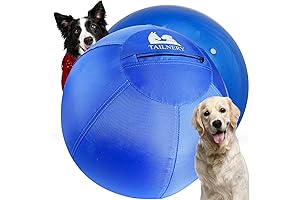 Herding Ball for Dogs - 25'' Collie Ball with Cover
