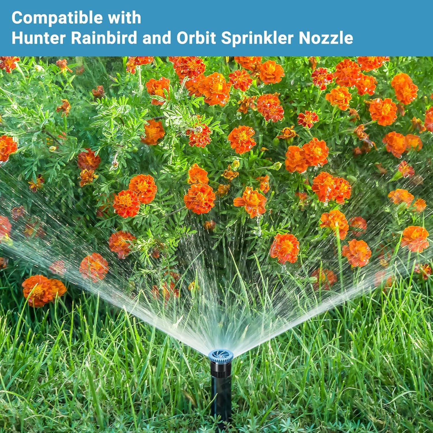 24 Stück Variable Bogendüse, Ersatz-Pop-Up-Sprinklerköpfe, kompatibel mit den meisten verstellbaren Pop-Up-Sprinklern, Sprühkopf für Gartenrasenbewässerung, hohe Effizienz (6AN, 10AN, 12AN)