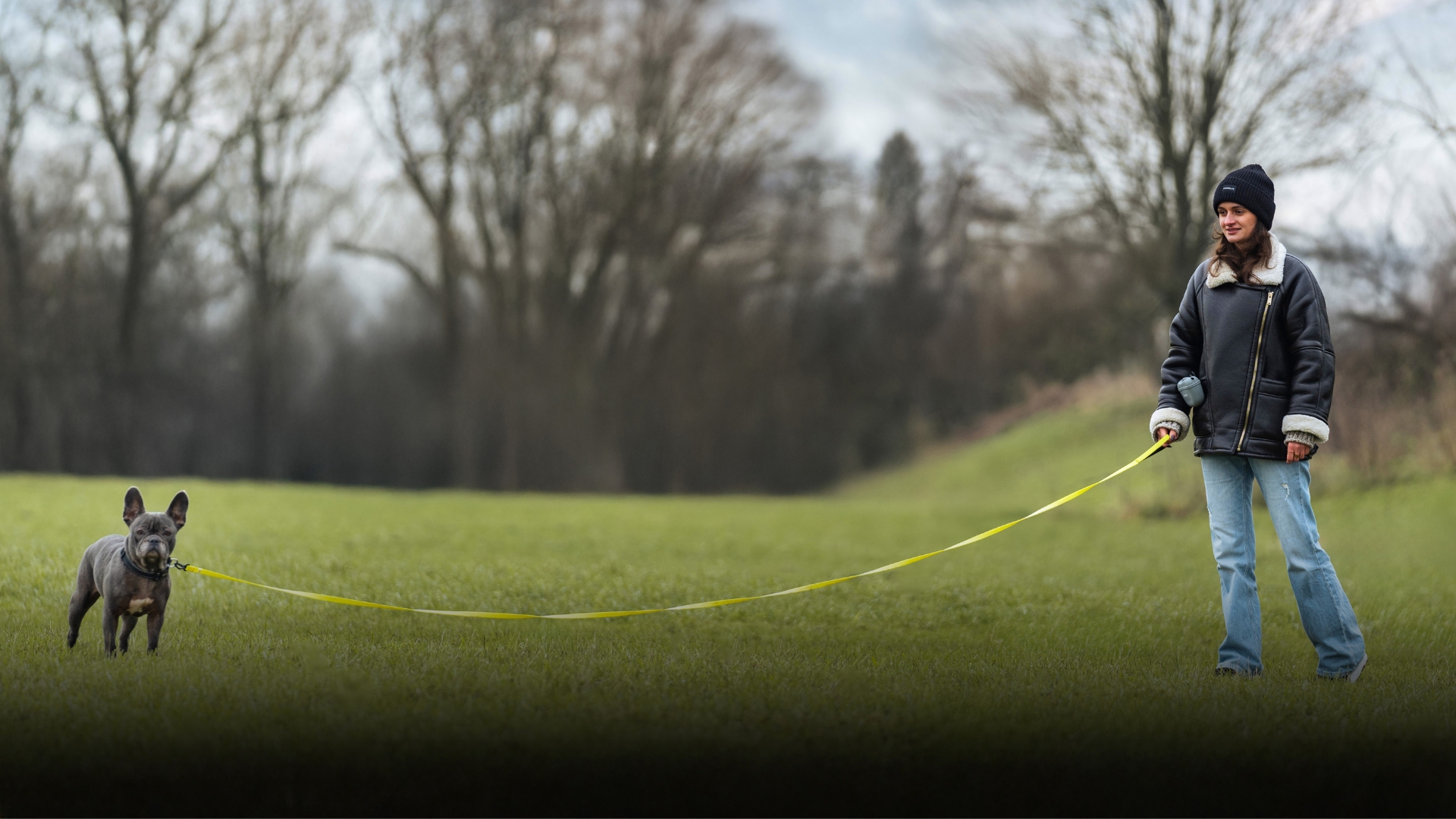 Guinzaglio A Traino Per Cani 5m - Moschettone 360°, Maniglia Imbottita, Nylon Resistente, Giallo - Foto 9