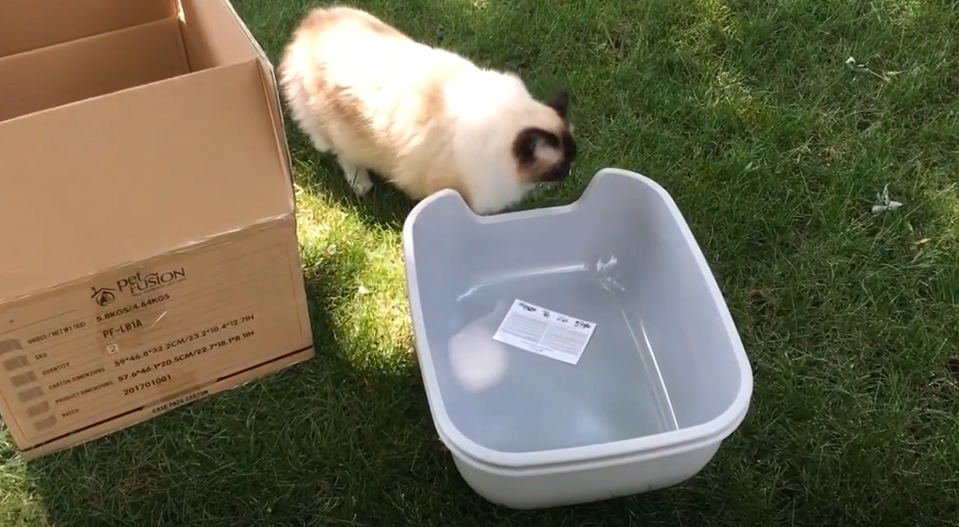 PetFusion BetterBox Non Stick Cat Litter Box Unboxing