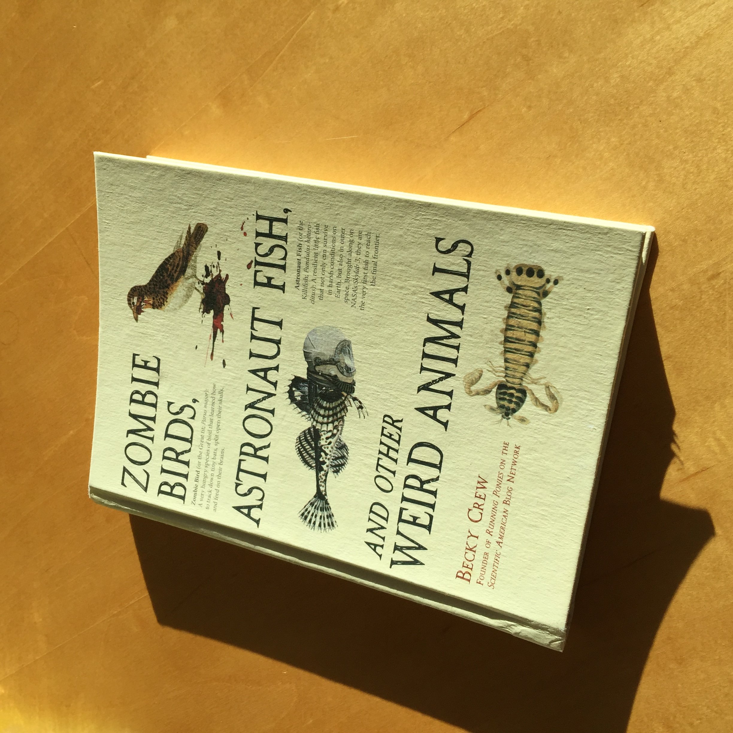 Buy Zombie Birds, Astronaut Fish, and Other Weird Animals — BookShops.in
