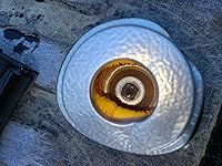 Review Image by Dr. Z Dr. Z