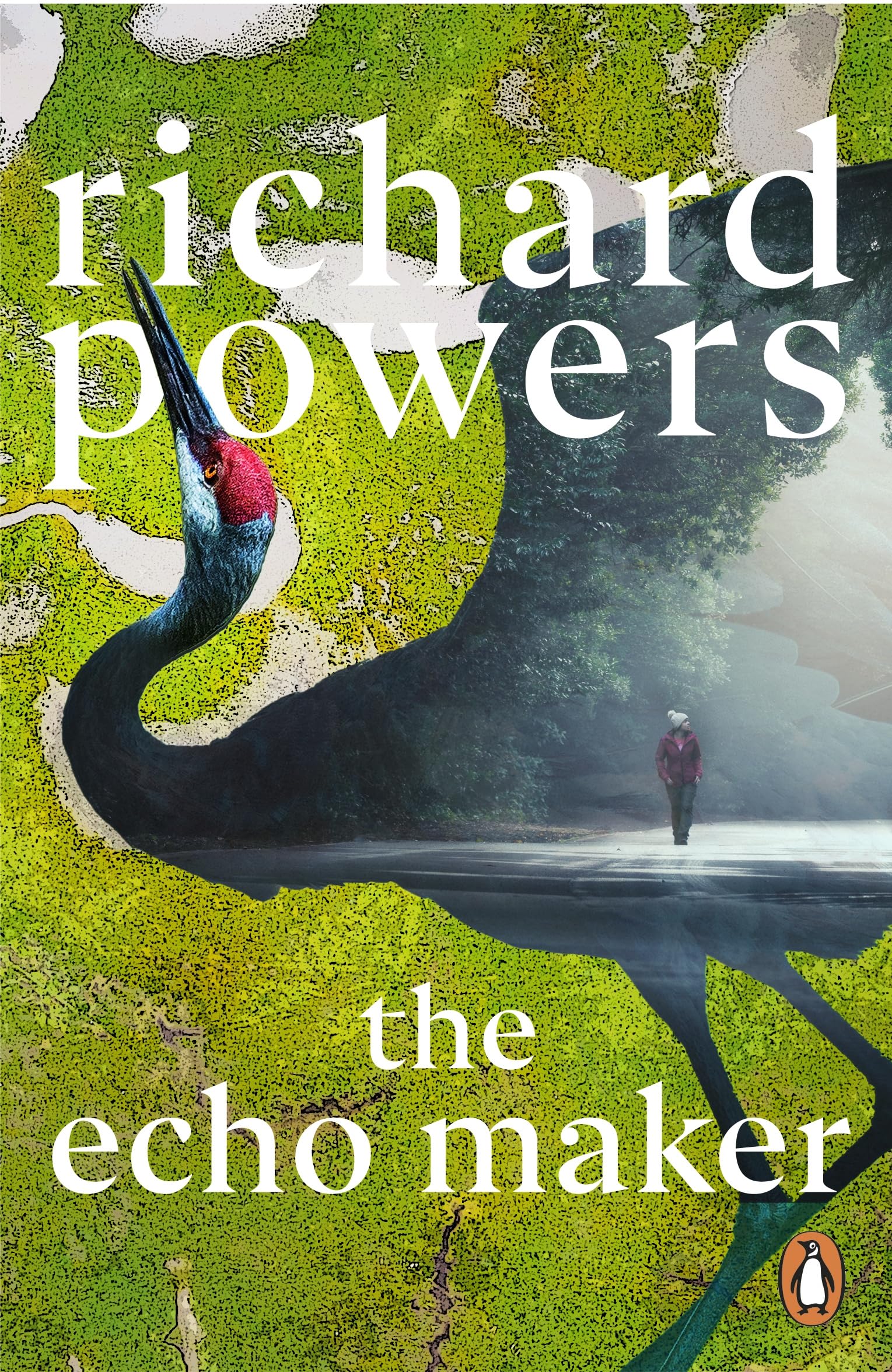 The Echo Maker: by Richard Powers