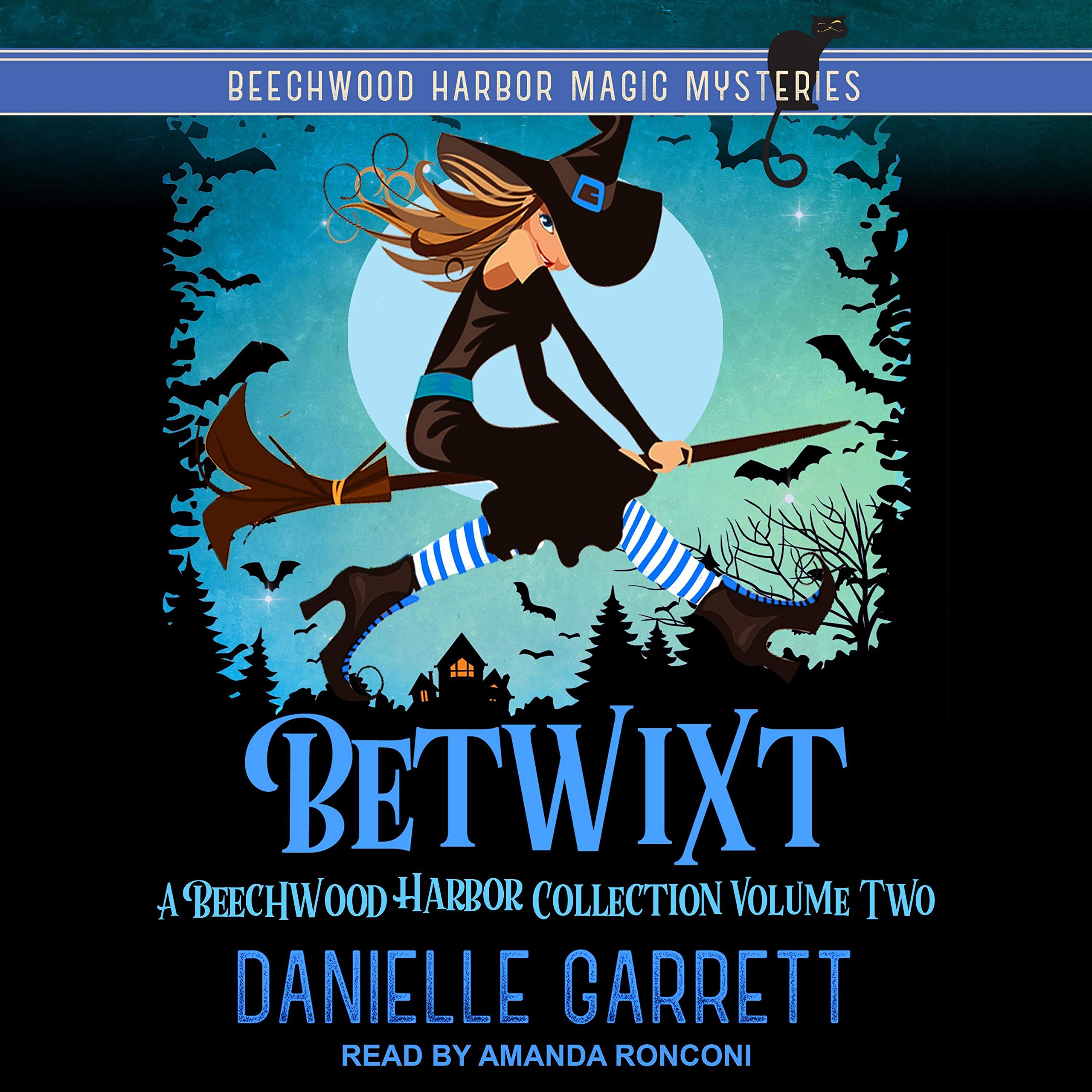 Cover art for Betwixt: A Beechwood Harbor Collection Volume Two