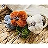 Product Photo 2