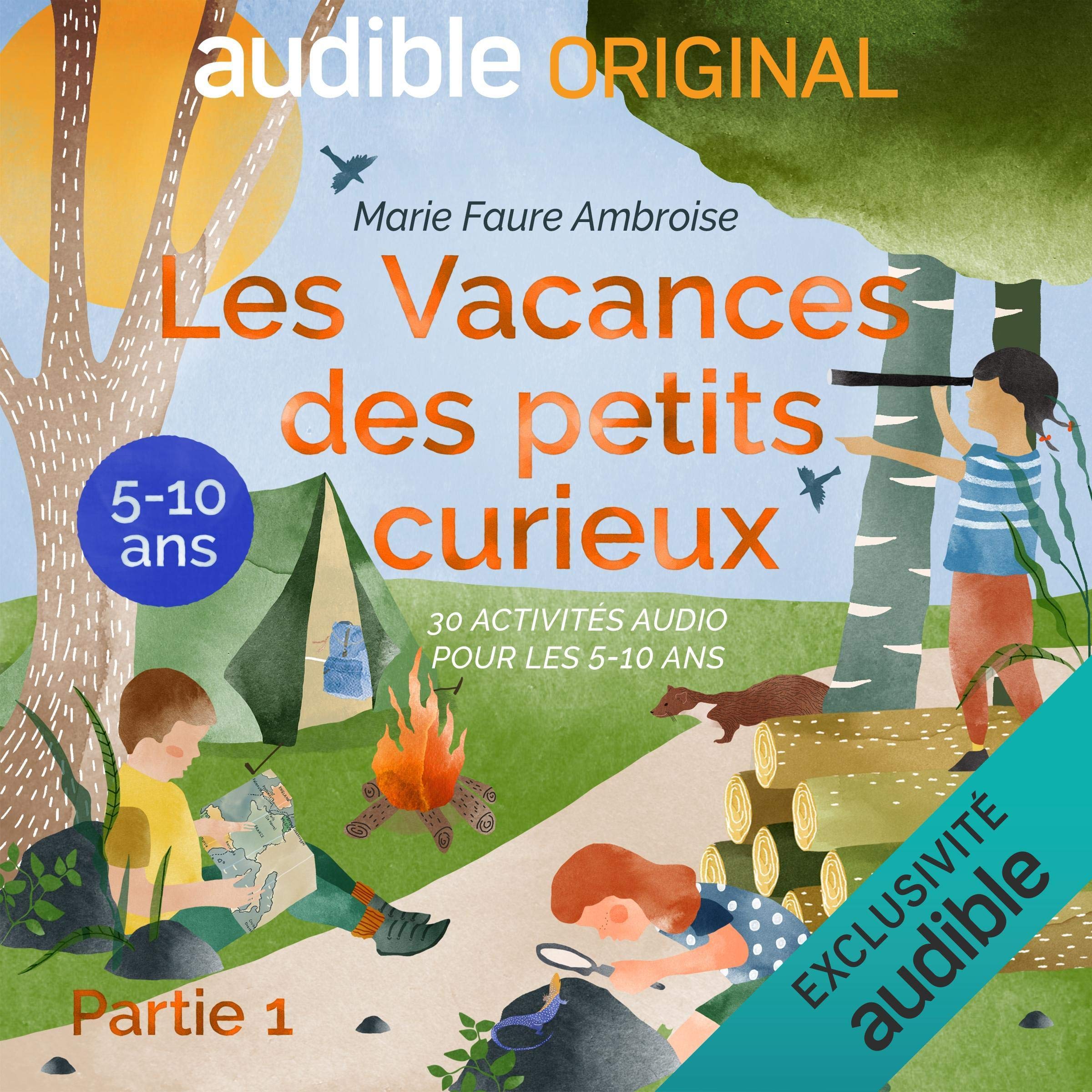 Cover art for Les Vacances des petits curieux. Le Pilote