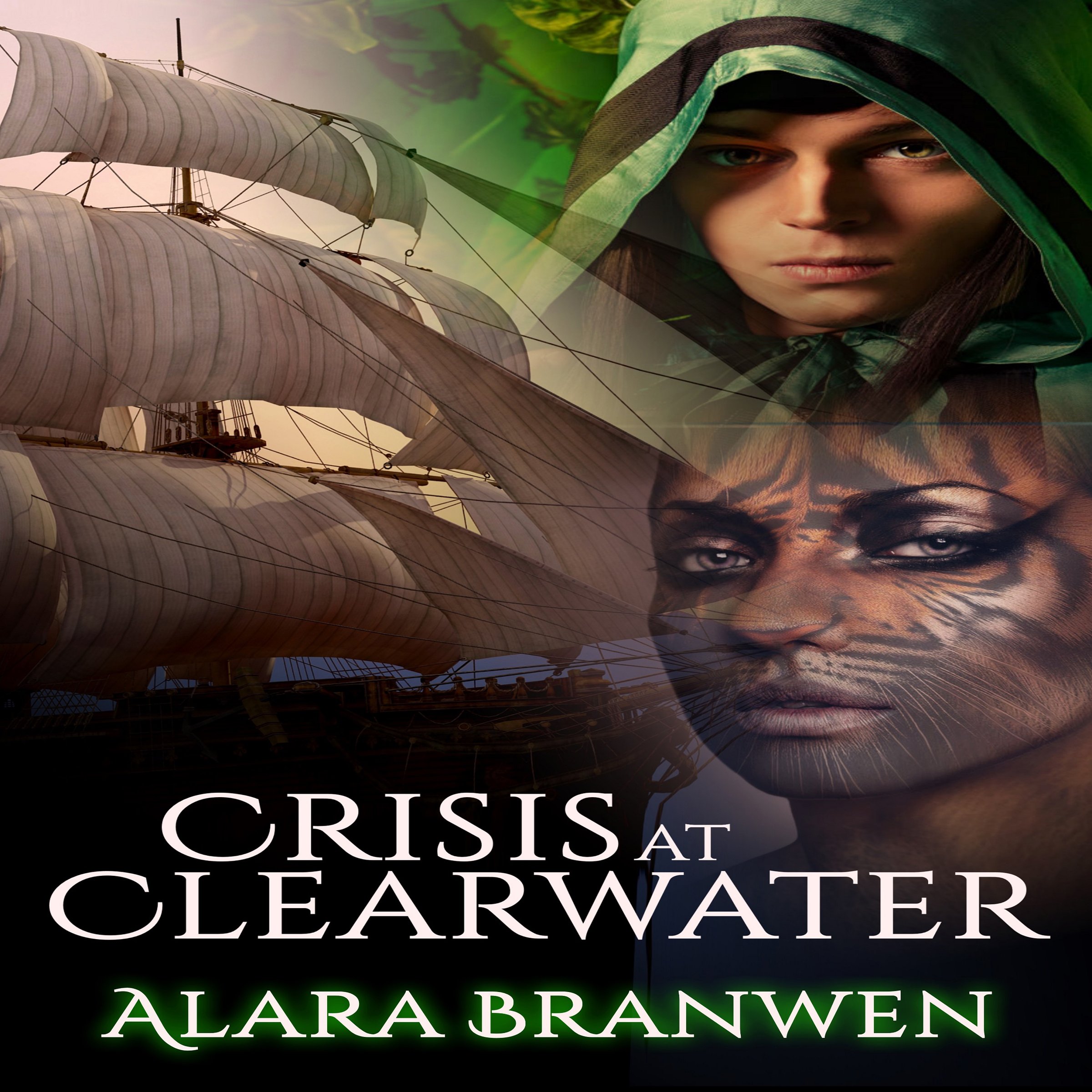 Cover art for Crisis at Clearwater