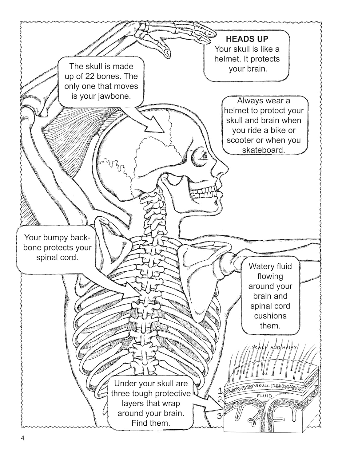 My First Book About the Brain (Dover Science For Kids Coloring Books) - Image 4
