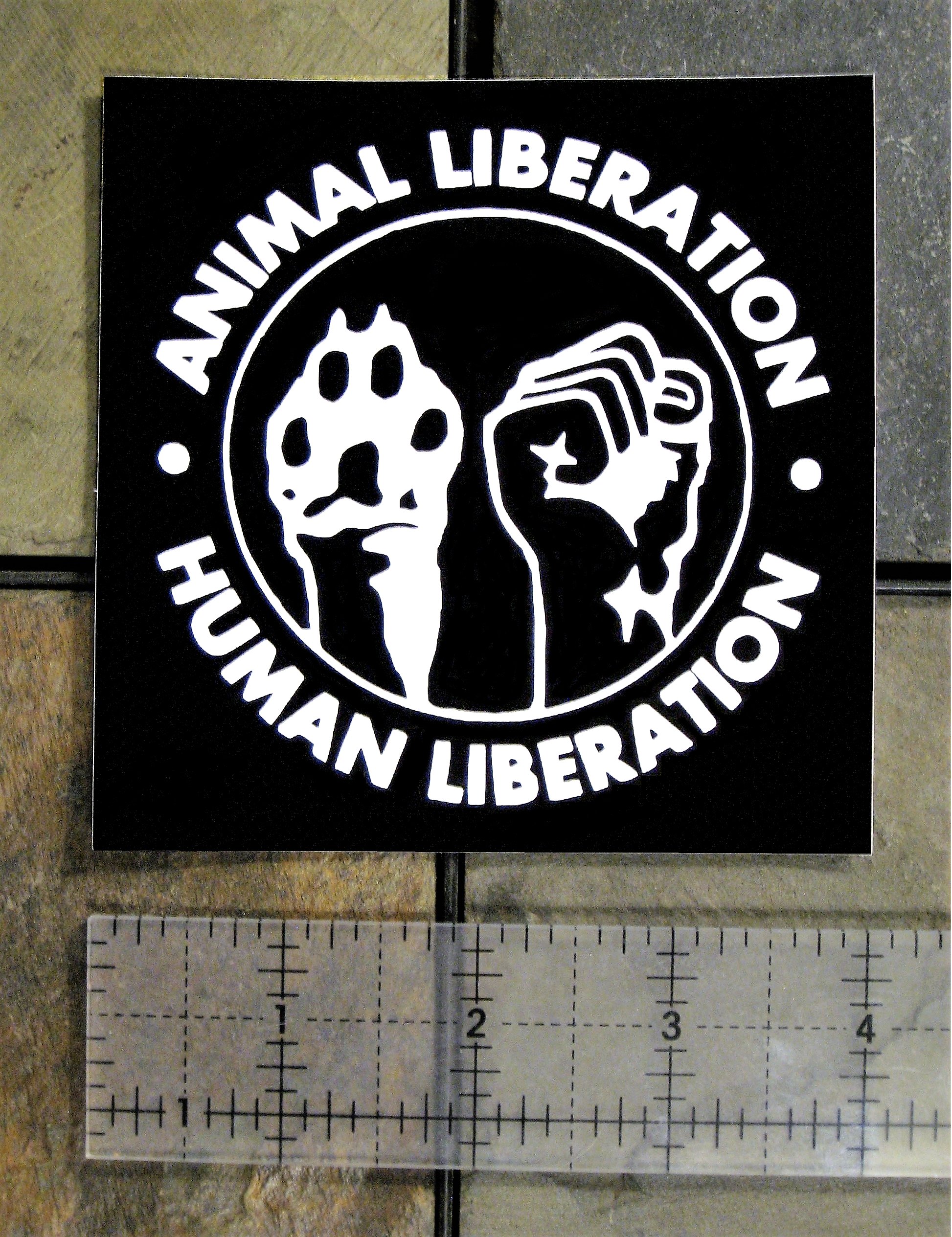 Vinyl Waterproof Sticker 4x4 Inch Vegan Animal Rights Sticker ...