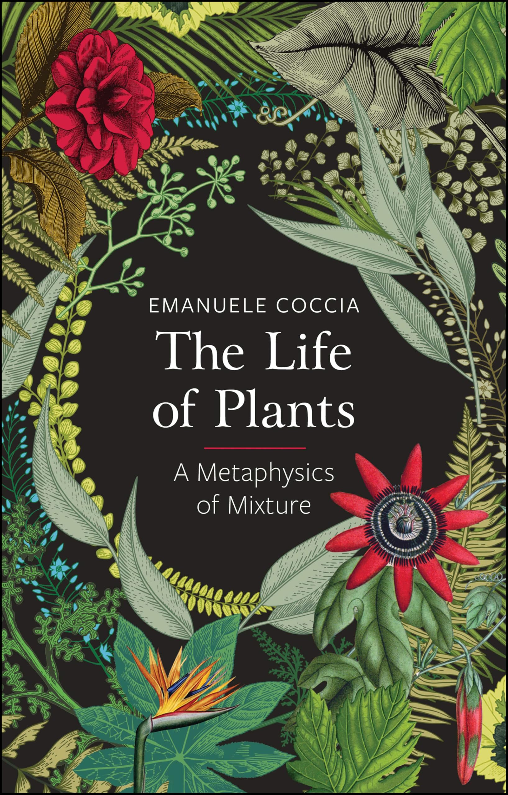 The Life of Plants by Emanuele Coccia - 9781509531530