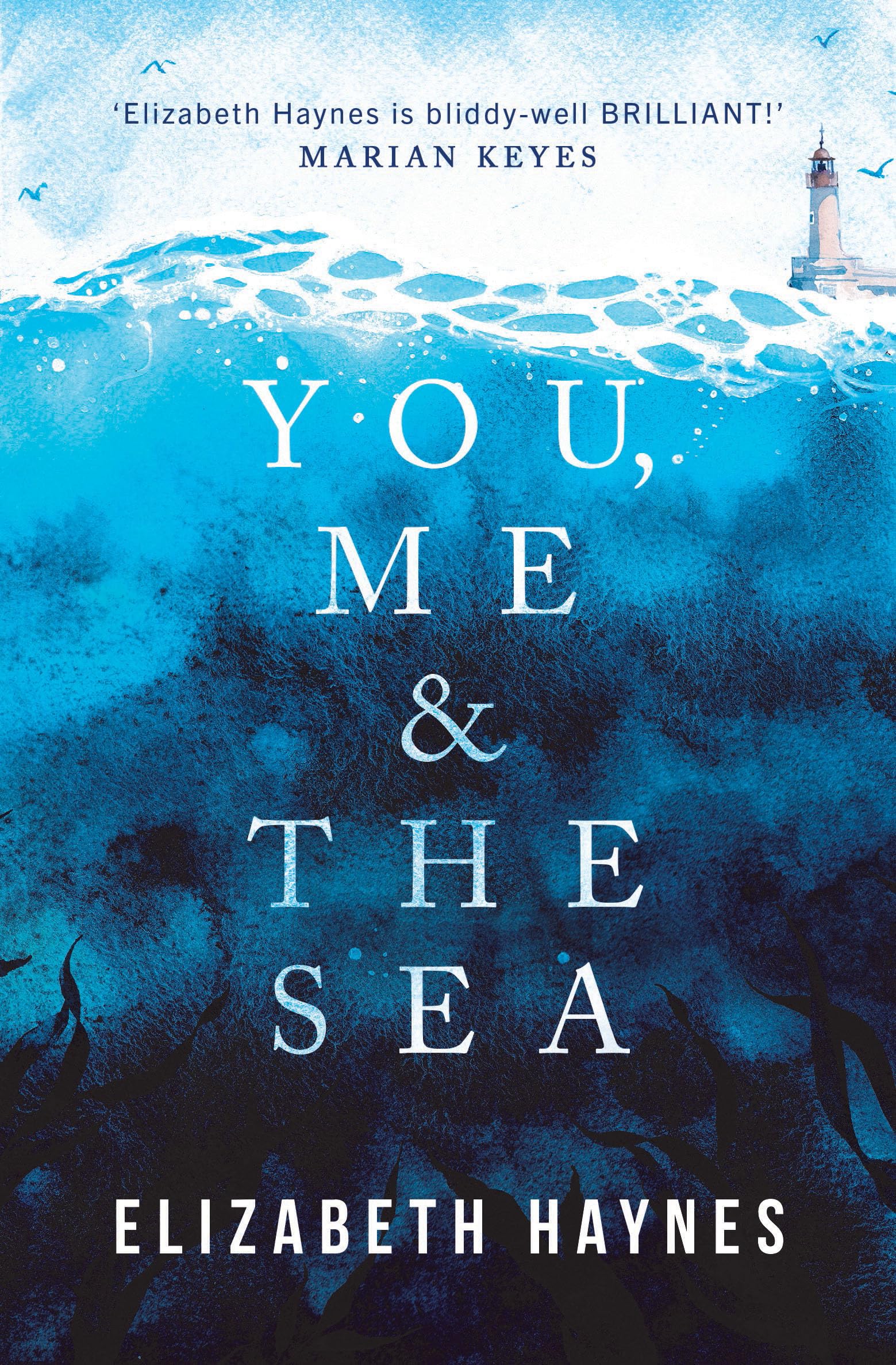 You, Me & the Sea by Elizabeth Haynes PAPERBACK 9781912408757