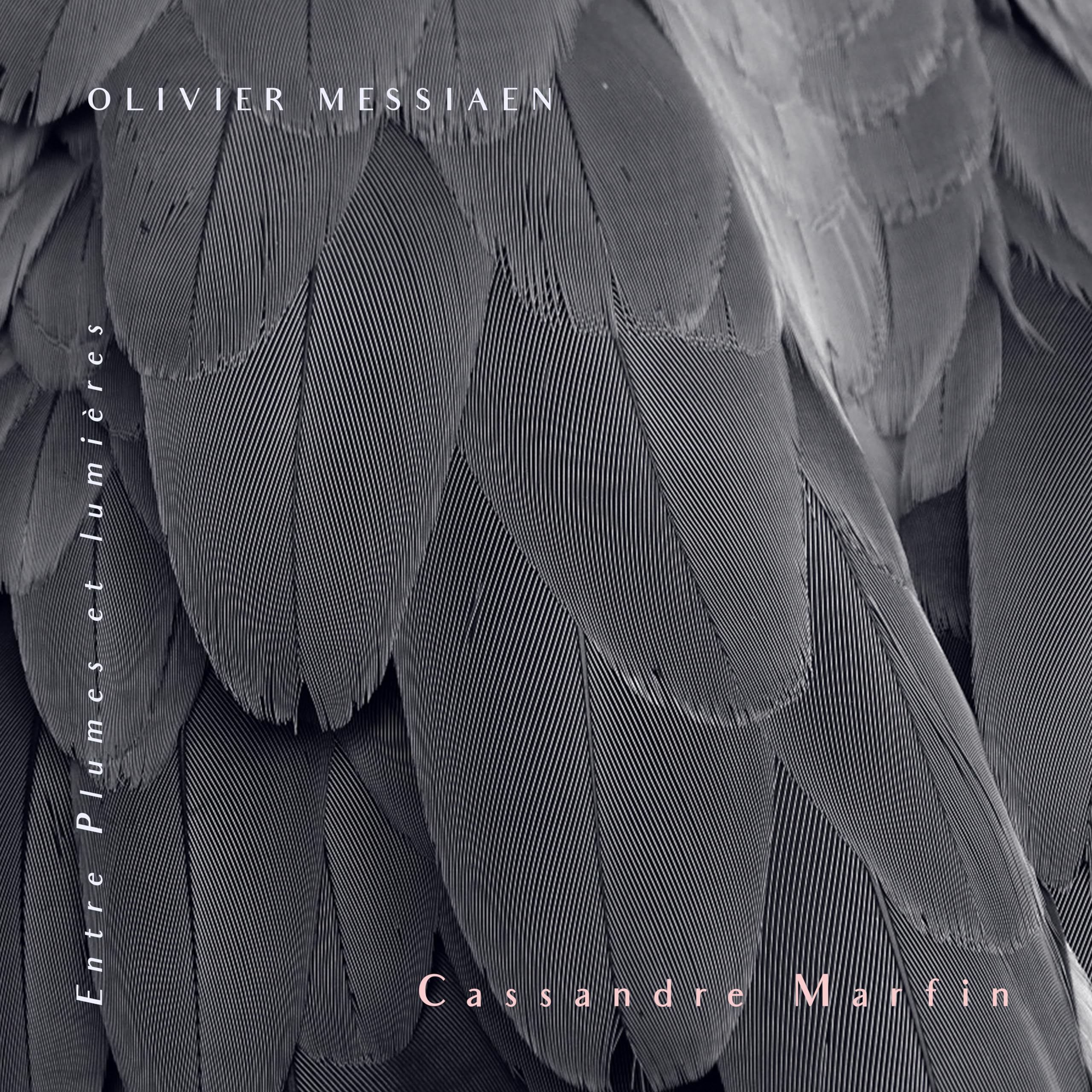 Cassandre Marfin Entre Plumes Et Lumieres CD New 3663729168511