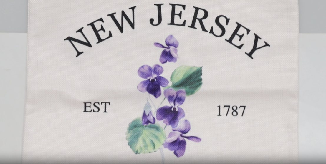 Bolso tote de New Jersey, Estado fundado en 1787 'The Garden State', orgullo de nativos de New Jersey, regalo miniatura 7