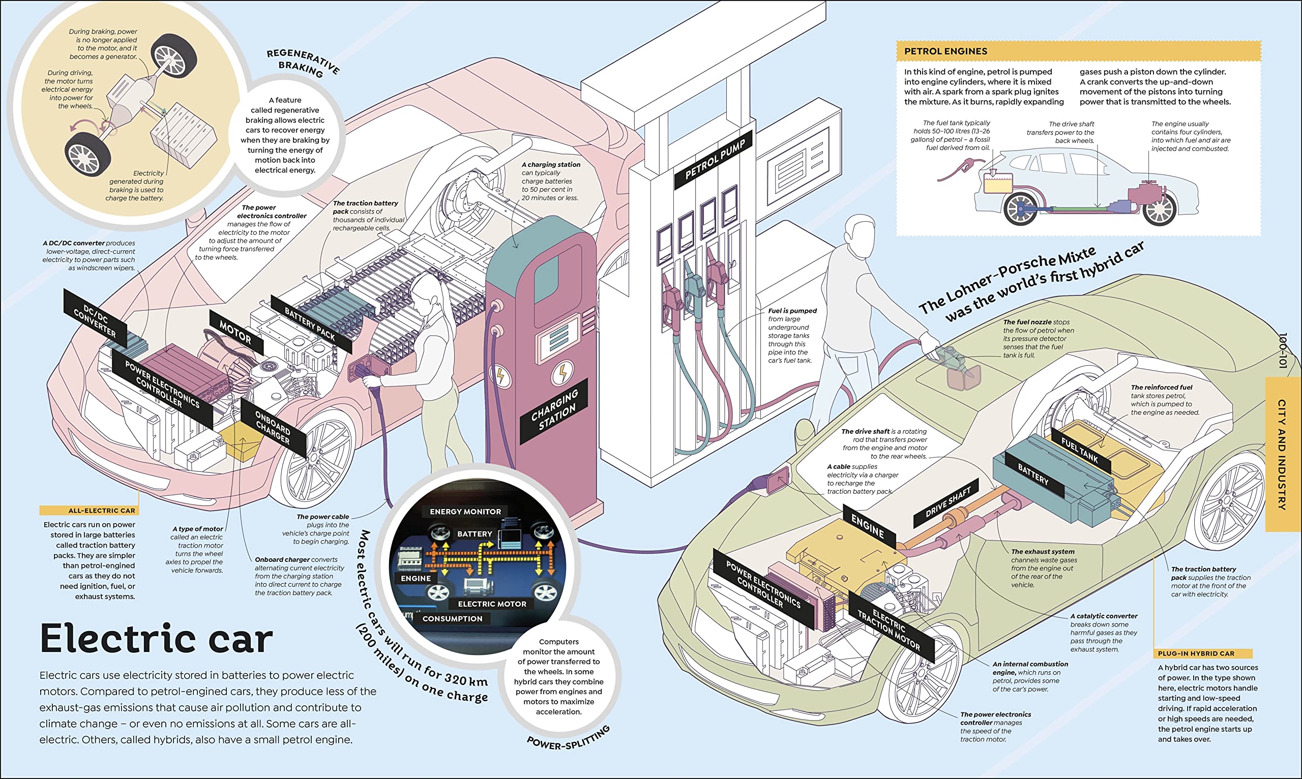 How Everything Works: From Brain Cells to Black Holes