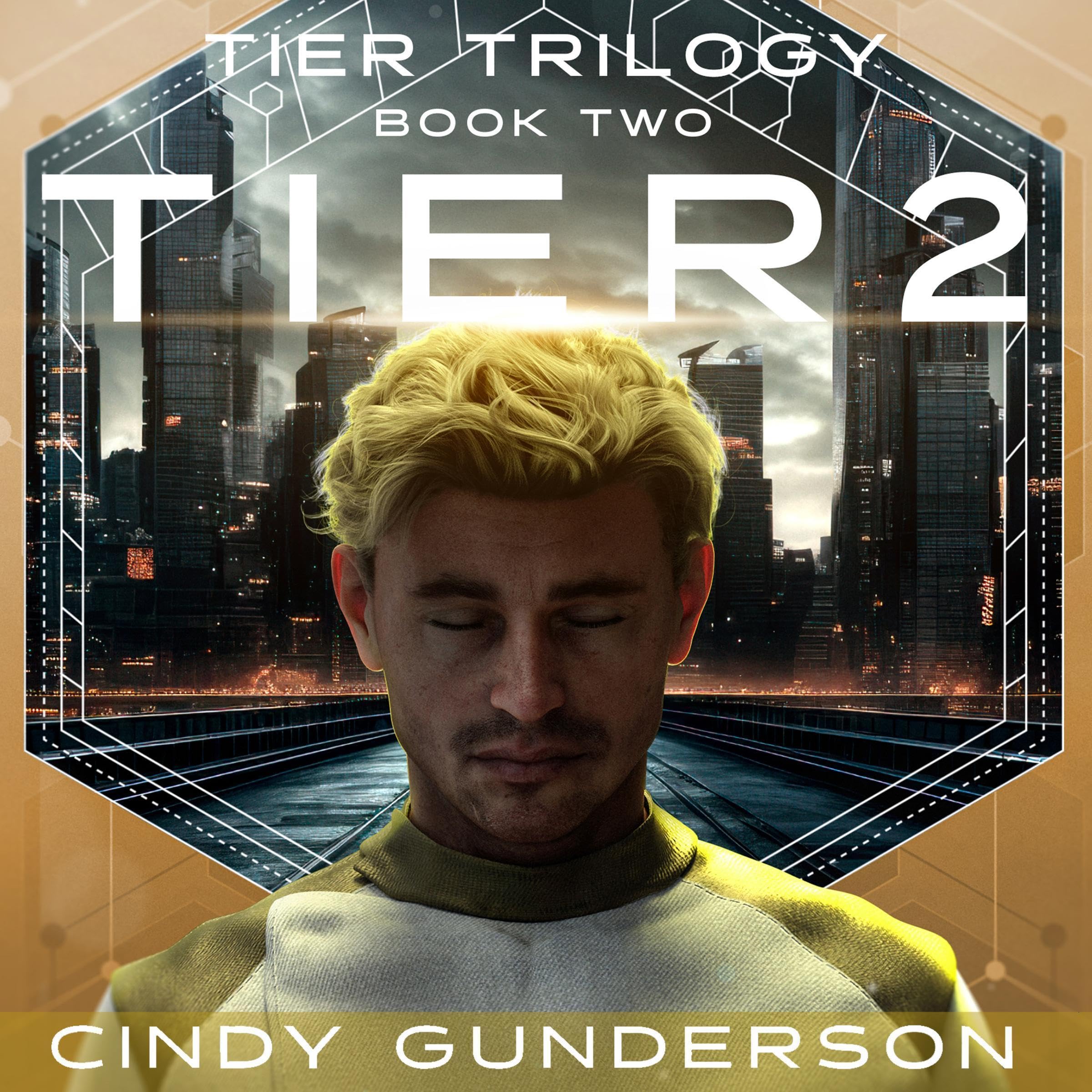 Cover art for Tier 2