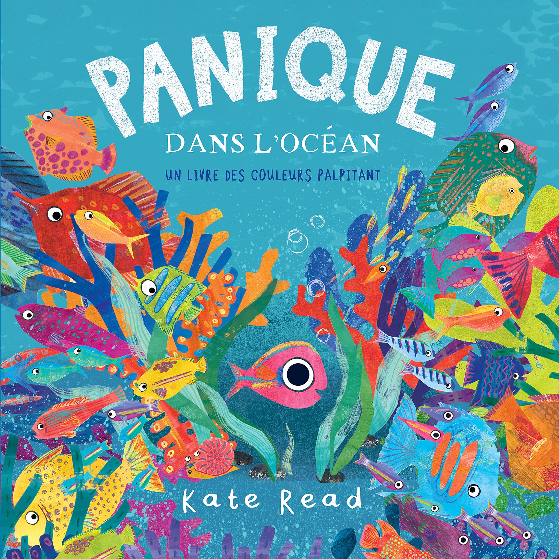 Panique dans l océan, un livre des couleurs palpitant