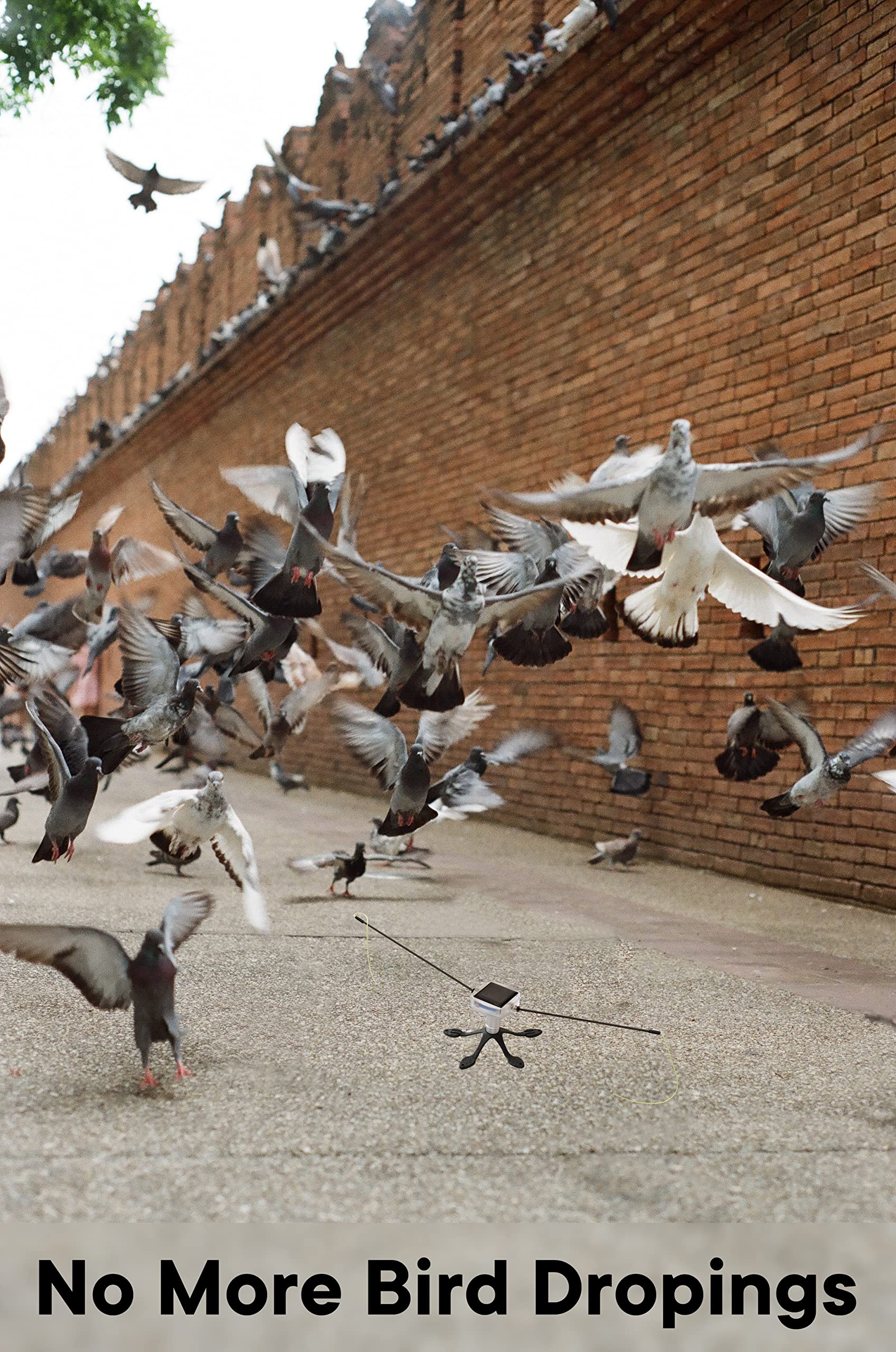 Básico – ahuyentador de pájaros solar para balcones y jardín – Gekko Standfuß – Ahuyentador de pájaros – ahuyentador de pájaros – ahuyentador de pájaros – Ahuyentador de palomas