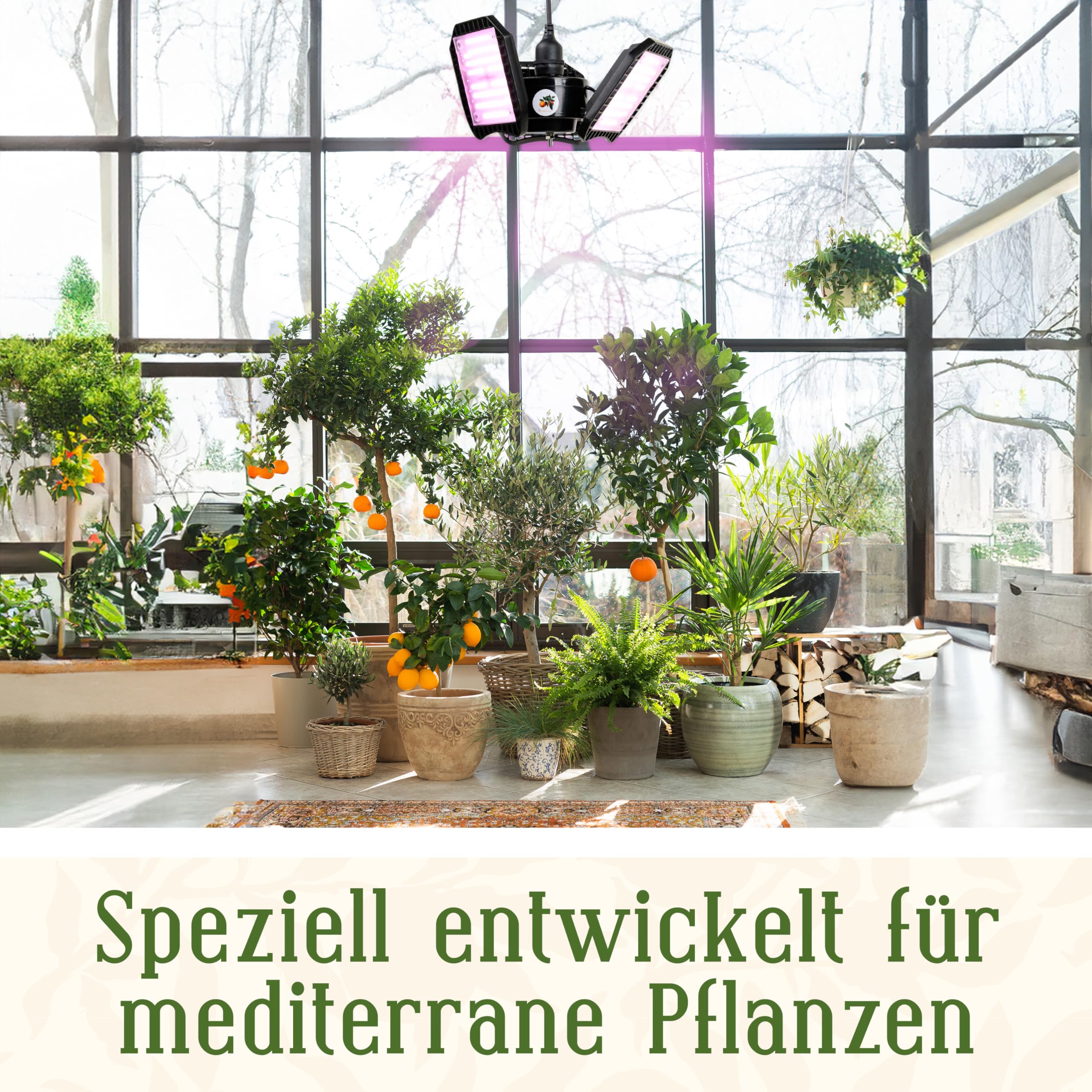 Meine Orangerie - LED-Pflanzenlampe FLEX [100W] - Vollspektrum LED Pflanzenleuchte zur Überwinterung von mediterranen Pflanzen - Entwickelt mit den Zitruspflanzen-Profis (LED Lampe)