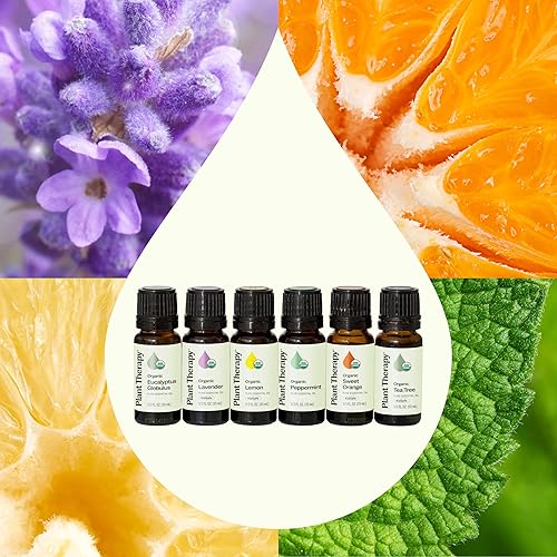 Miniatura 3 de Conjunto de 6 aceites esenciales orgánicos certificados por USDA de Plant Therapy Essential Oils incluye eucalipto lavanda naranja menta limón y