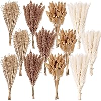 ANPROOR 300 PCS Dried Pampas Grass Bouquet - Boho Dried Flowers for Home Decor, Weddings, Vases | All-Season Floral Arrangements