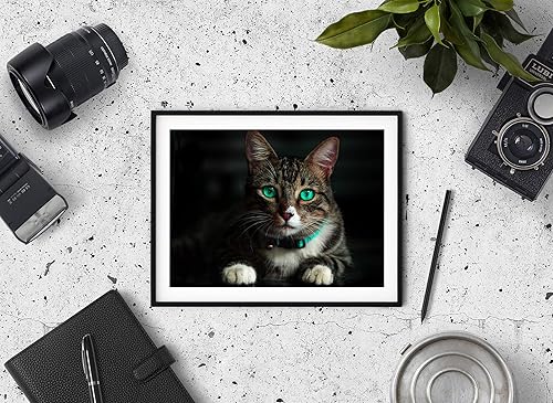 Miniatura 4 de 50 hojas de 8 x 10 pulgadas, 100% algodón, 12 mil, papel profesional de alta calidad para uso con impresoras de inyección de tinta, papel de