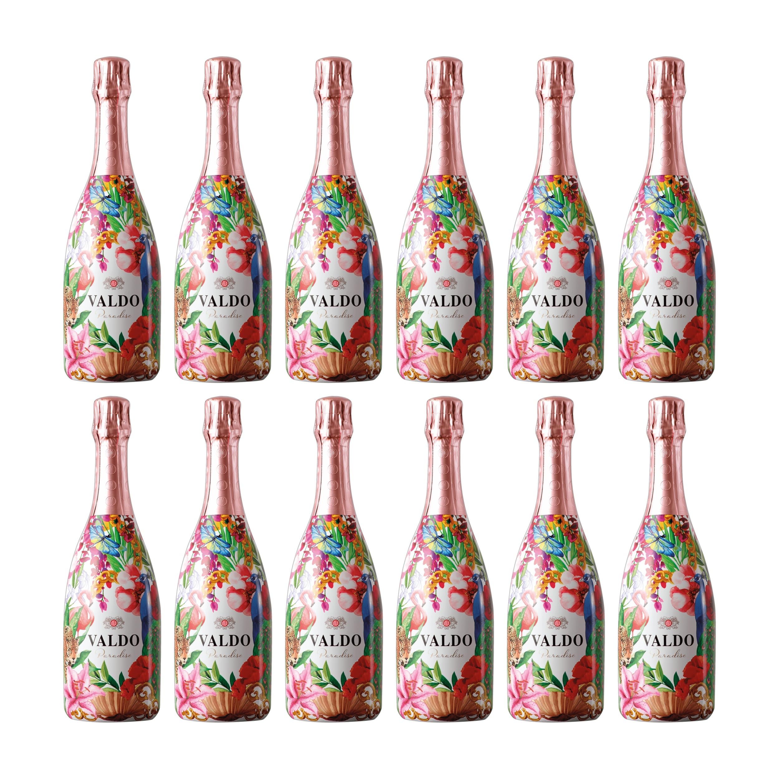 Valdo Paradise Rosé Spumante Brut Schaumwein Italien inkl. FeinWert E-Book (12 x 0.75 l)