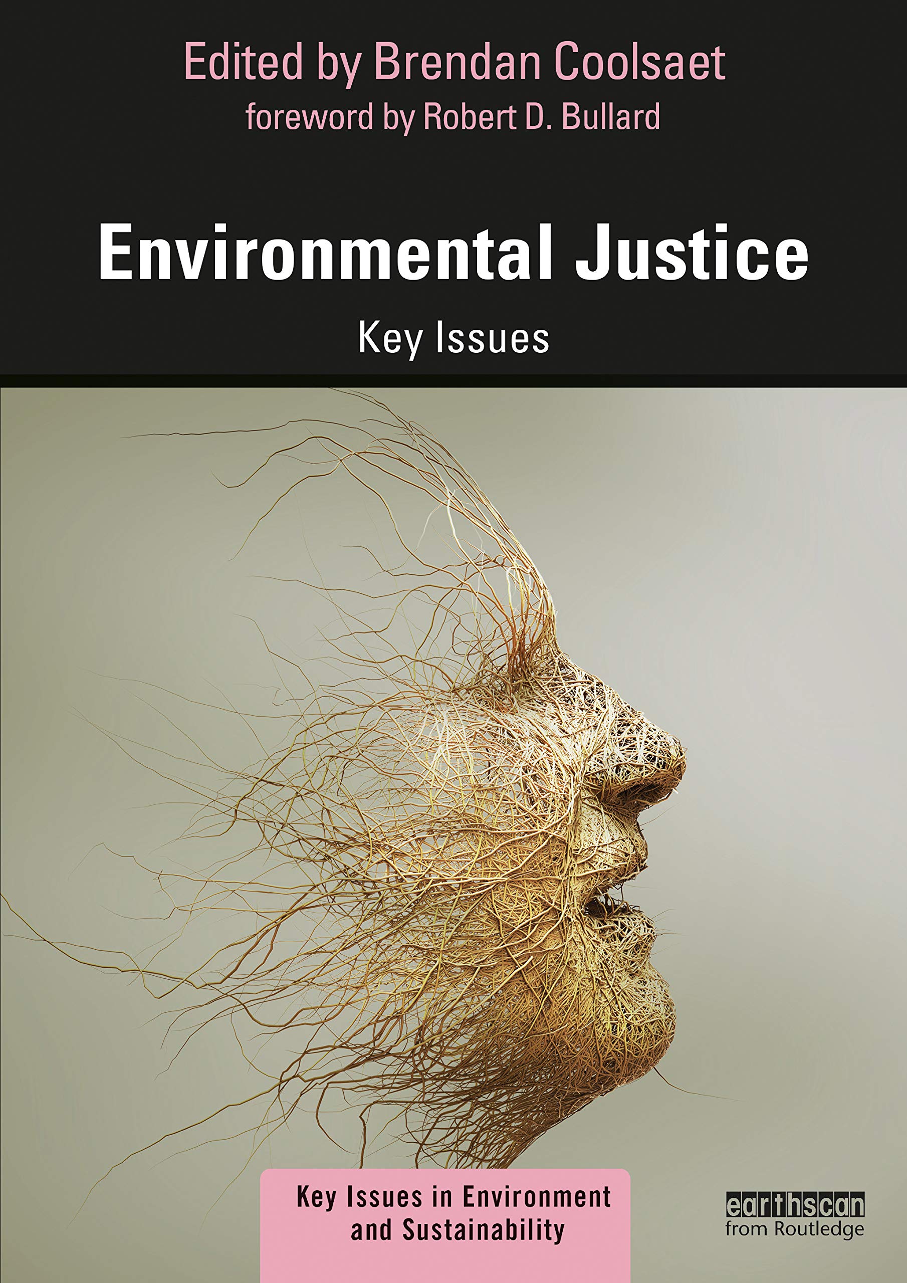 Environmental Justice: Key Issues (Key Issues in Environment and Sustainability)