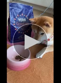 【未開封】YORA ドッグフード　賞味期限2026.01 未開封】YORA ドッグフード 賞味期限2026.01 - メルカリ