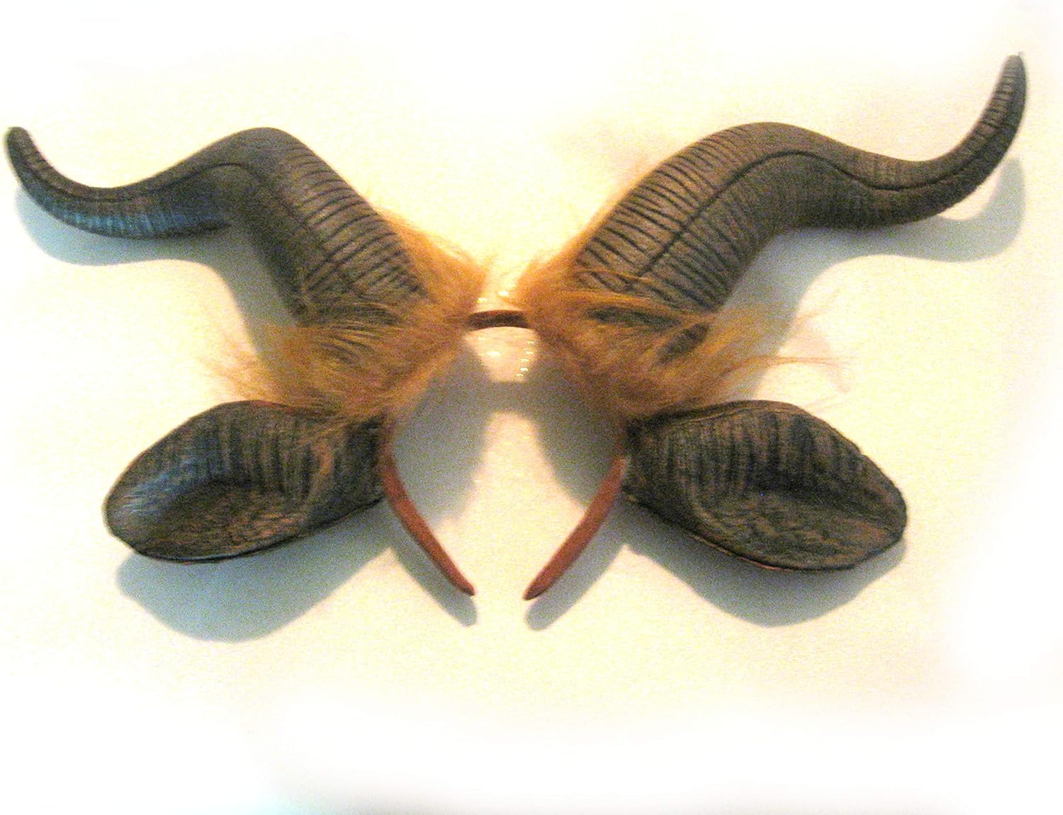 HM Smallwares Beastly Horns Accessory
